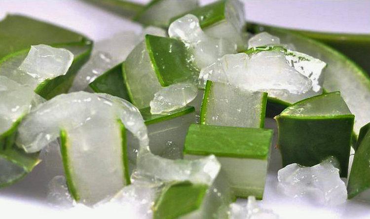 上海可发元江芦荟丁300g10袋装库拉索果粒果肉颗粒罐头甜品奶茶店原料