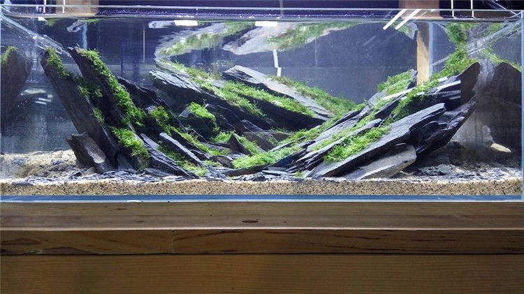 原石 青龙石 鱼缸造景石头水族装饰水草造景草缸造景素材 红火山石/5