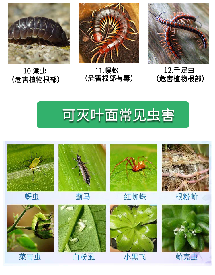 土壤杀虫剂地下害虫家用花盆花卉绿植花草蚜虫卵蜈蚣农药花土除虫