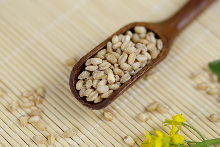 小麦仁 小麦脱壳去皮胚芽粒麦芽米新小麦粒五谷杂粮原料430gx3袋