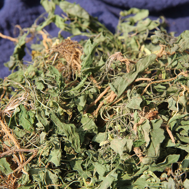 北京同仁堂野生紫花地丁中药材500g特级精选新鲜干货无熏染地丁草地丁