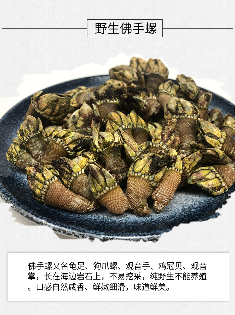3斤新鲜海捕小佛手螺狗爪螺龟脚鸡爪螺鹅颈藤壶海鲜贝类水产顺丰