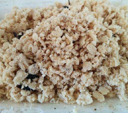 黑水虻虫卵又名凤凰虫一罐(50克)装 一罐(50克)