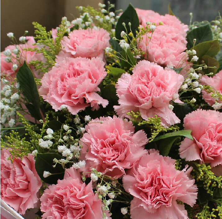 妇女节母亲节妈妈长辈生日康乃馨礼盒花束鲜花速递同城送花 金色 19朵