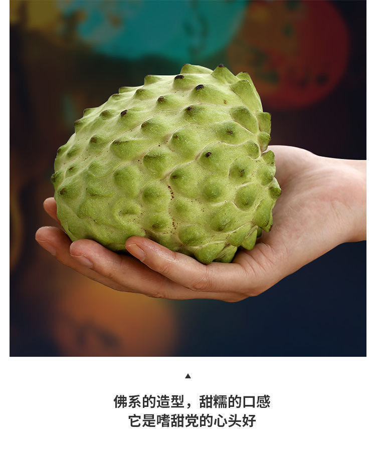 牛奶释迦果 新鲜佛头果孕妇水果释迦生鲜 6个装