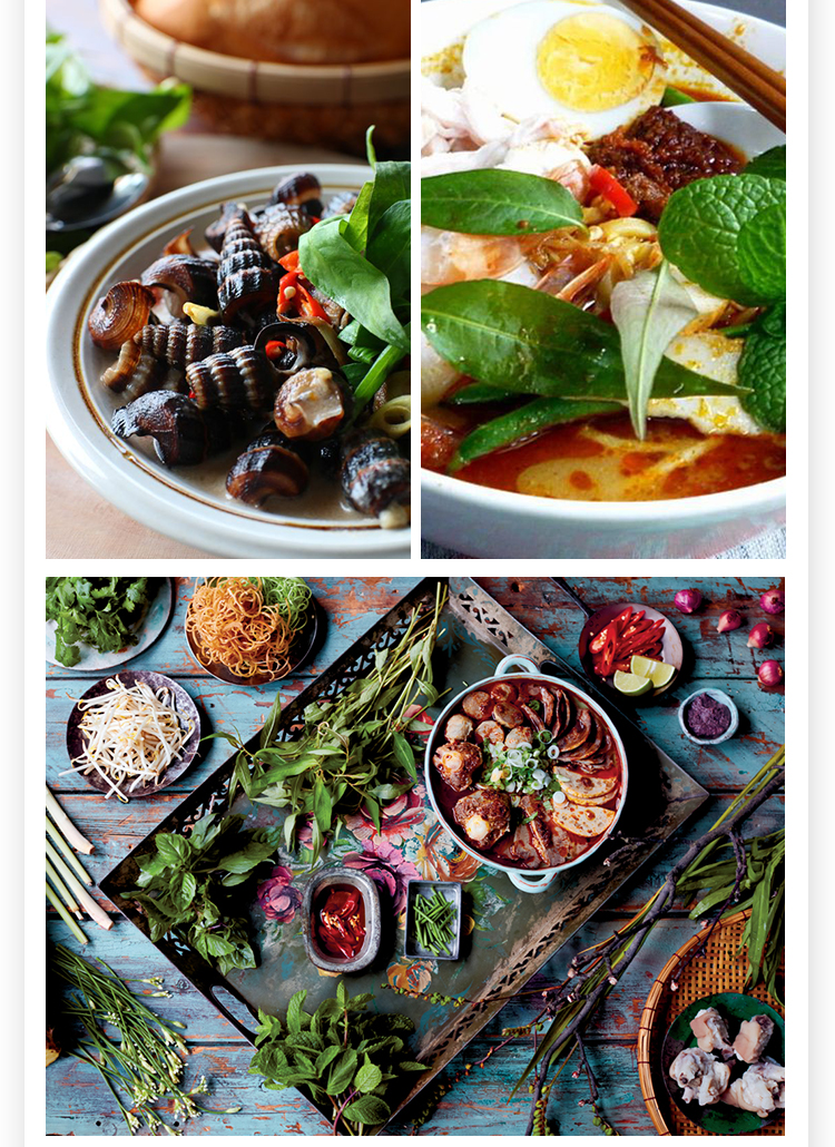 越南香菜越南芫荽叻沙叶食用盆栽阳台耐湿热料理越南香菜带盆栽好