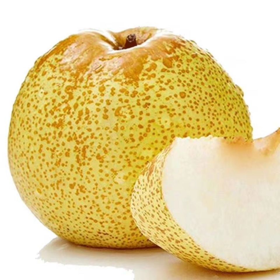 安徽砀山梨子应季新鲜带箱酥脆汤山青皮香甜水果整箱5斤大果