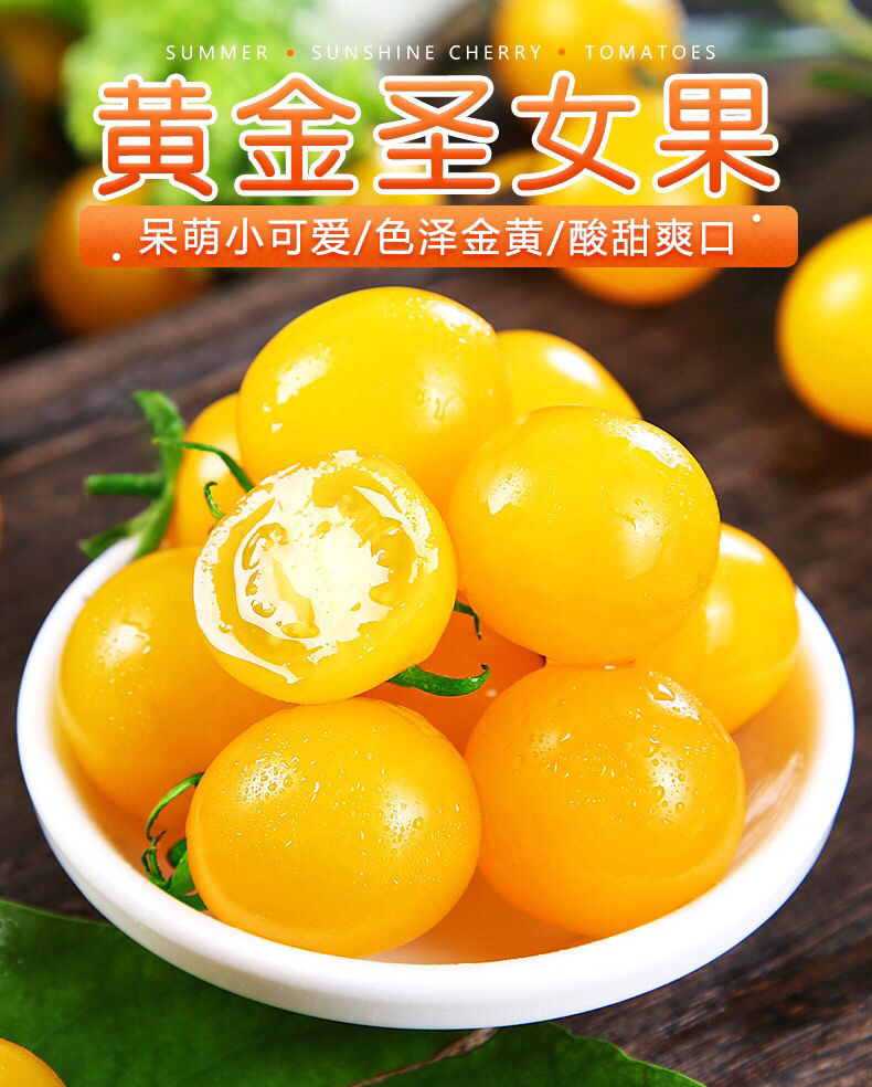 顺丰新鲜现摘黄金圣女果黄色小番茄黄色圣女果孕妇水果非千禧 五斤装