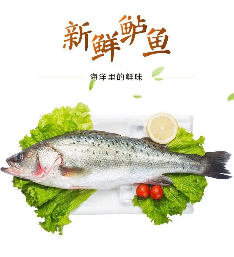 大鲈鱼(一斤半一条)鲜活海洋鲈鱼深海七星花海鲈鱼上品海鱼. 腾旺纳跃