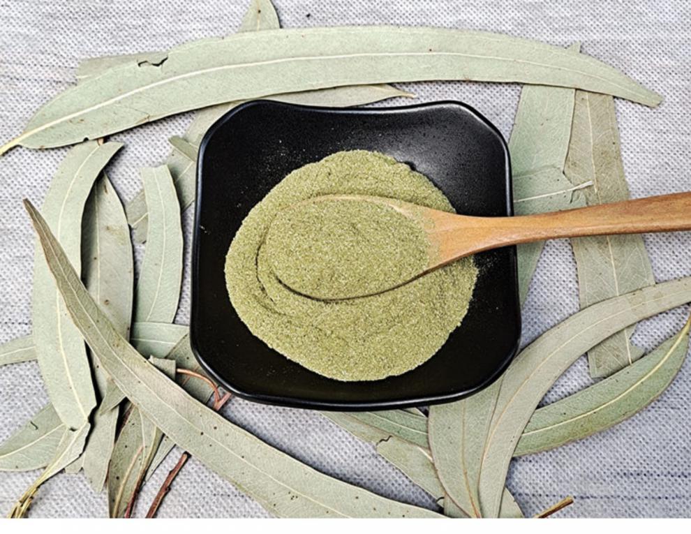 桉树叶粉500g现磨纯桉叶粉中药材小桉树大叶按树叶粉尤加利叶子