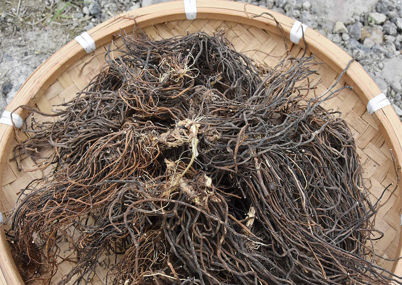 威灵仙根中药材铁扫帚老虎须铁线莲500g