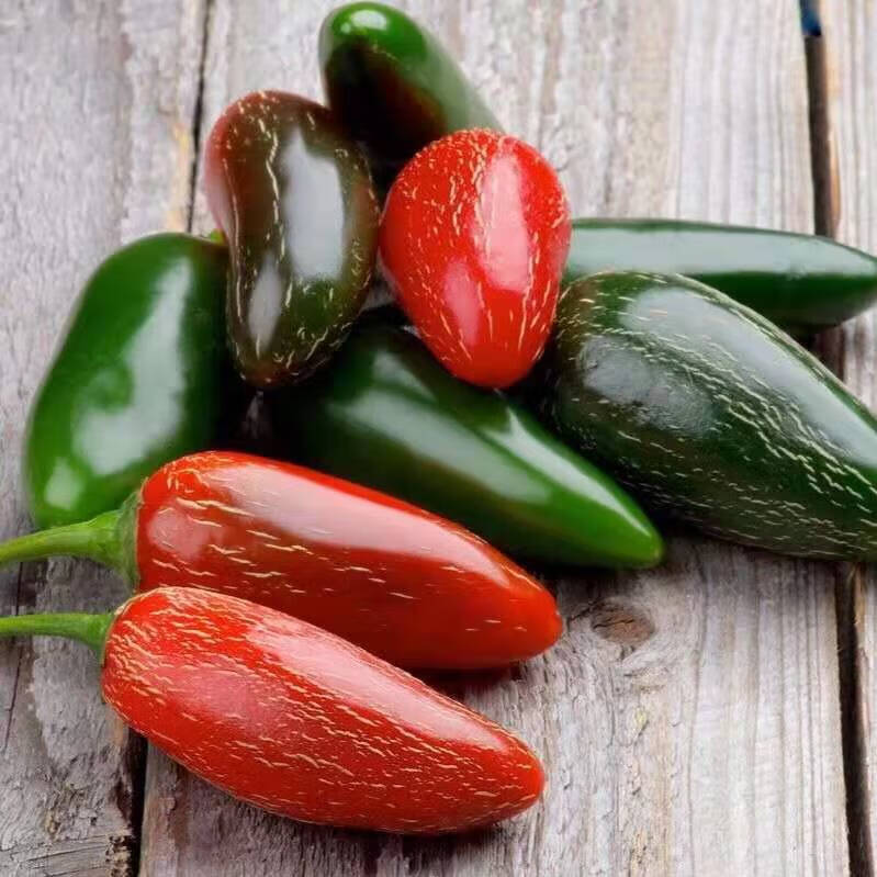 芬岚 现摘新鲜港椒墨西哥椒5斤皮薄肉厚香辣露天种植农家自产 5斤