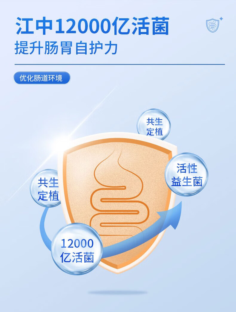 2万亿活性菌粉中老年人肠胃肠道复合益生菌调理冻干 5盒装【1.