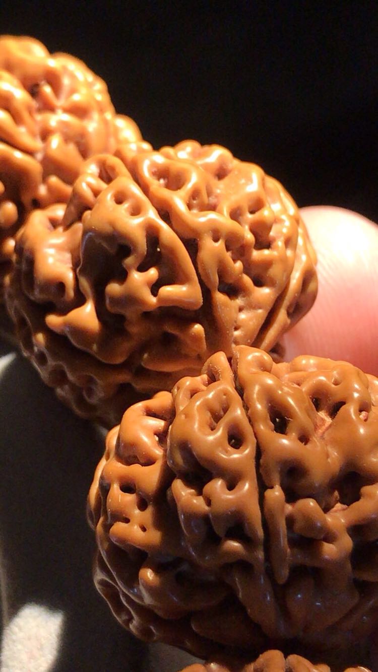 尼泊尔精品五瓣大金刚菩提子矮桩姜黄皮爆肉双龙纹原籽文玩手串男生日