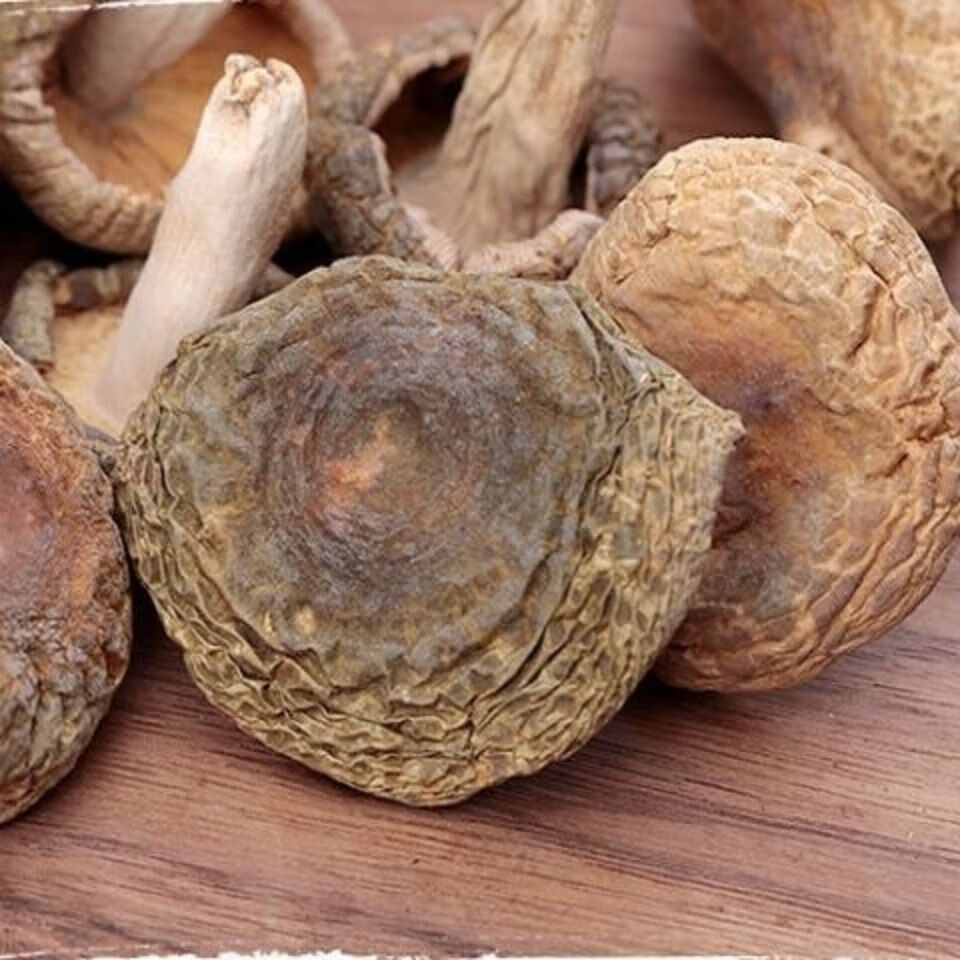 青头菌干货木蘑菇云南菌新鲜青头产地直销松树菌新货野生天麻500克更