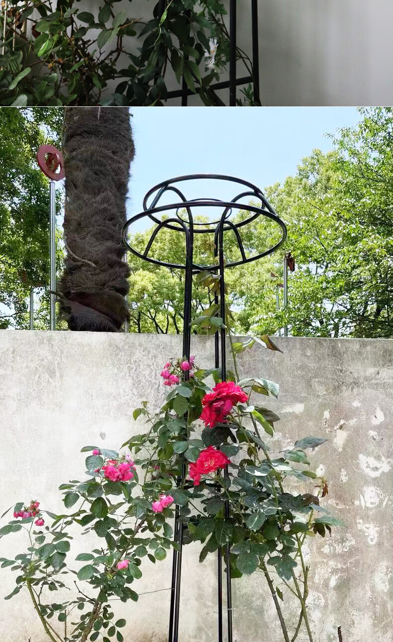 室内蘑菇爬藤架园艺花架庭院花园铁艺艺术花架铁线月季专用支支架