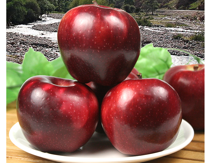 顺丰甘肃红元帅苹果红星苹果水果新鲜时令粉面沙甜宝宝刮泥整箱送礼大