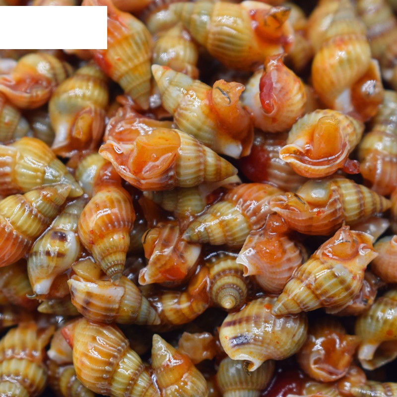 锥300g海螺丝海钱即食麻辣海鲜丹东东港特产海瓜子 麻辣海锥4盒【图片