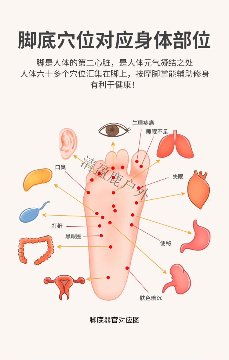 指压板脚底按摩 足底按摩器腿部经络疏通刺激揉捏脚底穴位滚轮指压板
