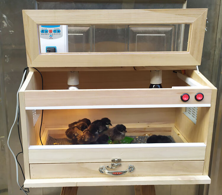 【可开票】鸡苗鹌鹑鹦鹉育雏活体保温箱子雏鸟鸭苗出壳箱鸽子保温箱