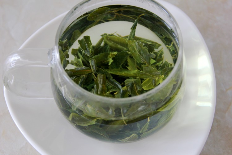 文冠果叶文冠果茶嫩芽叶新茶文冠茶文冠果茶叶养生茶 一件【图片 价格