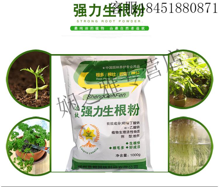 植物通用扦插用树木快速速效爆炸生跟粉发根剂液果树 1kg强力生根粉