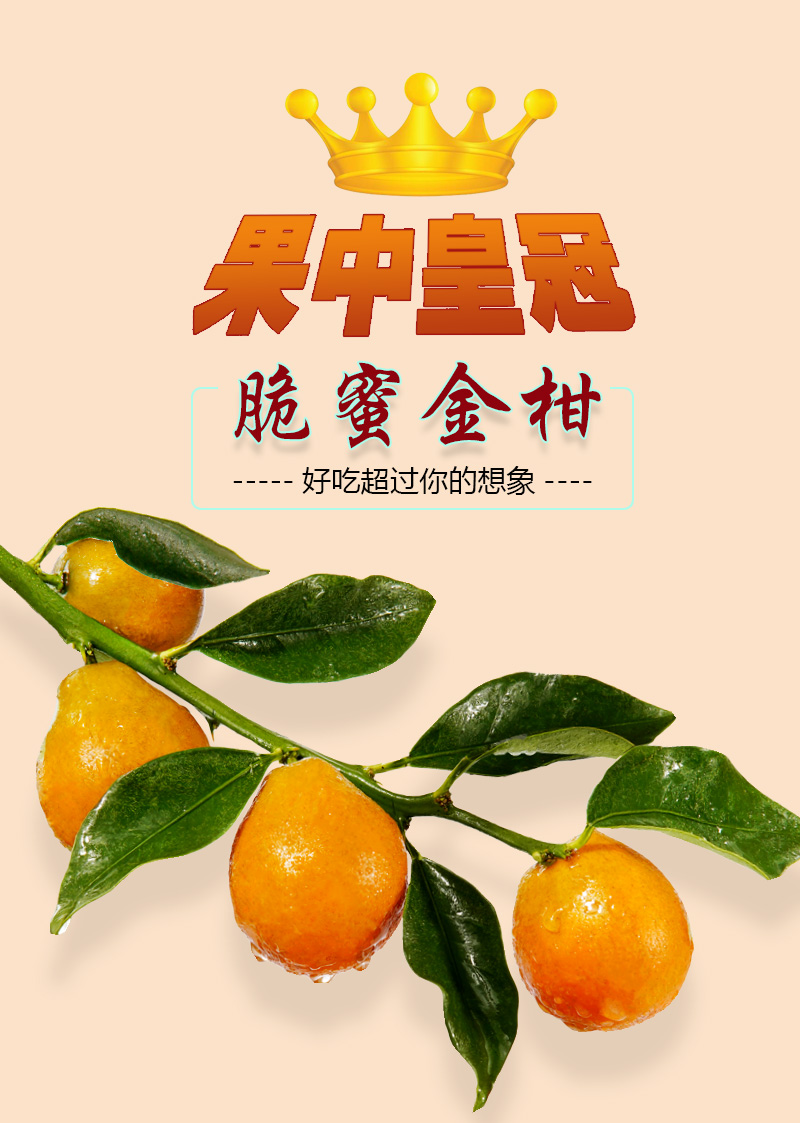 广西正宗融安脆蜜金柑第3代脆蜜金橘纯甜无核滑皮脆皮金桔48斤二级果