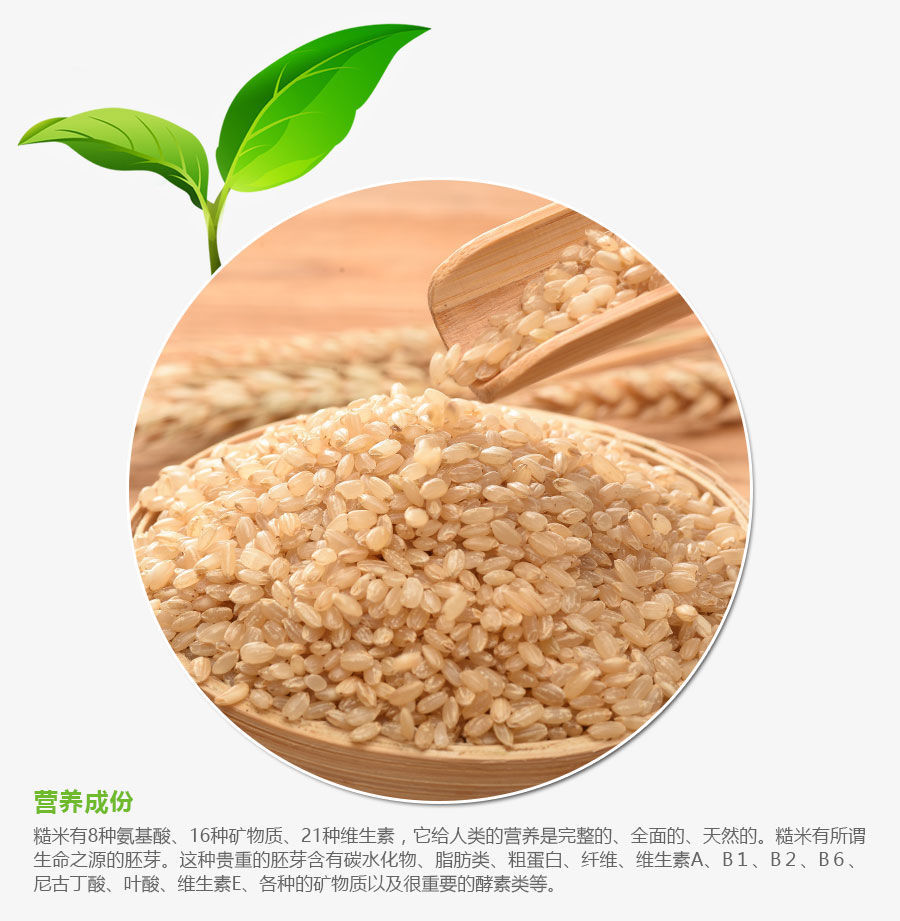 20年新米东北糙米5斤黄糙米农胚芽米粗粮饭发芽米糙米饭健身餐5斤