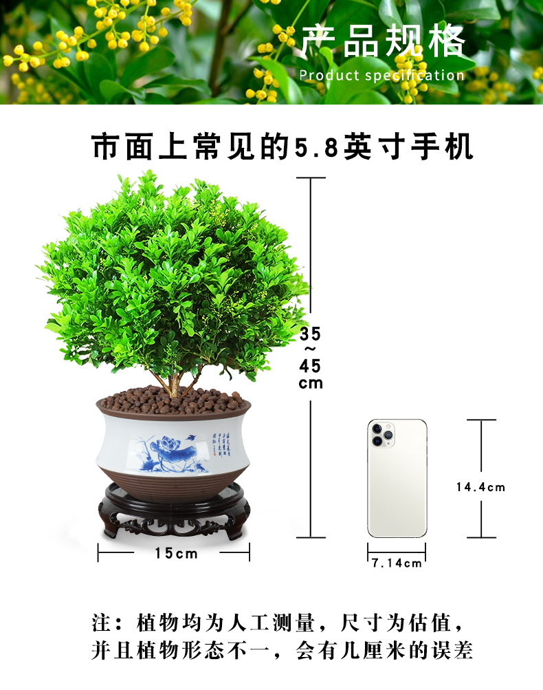e859ba05aa866b06.jpg