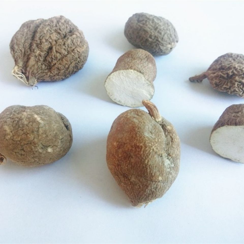 贵州新晒地苦胆野外生金果榄中药原材料青牛胆九牛胆青鱼胆九龙胆500