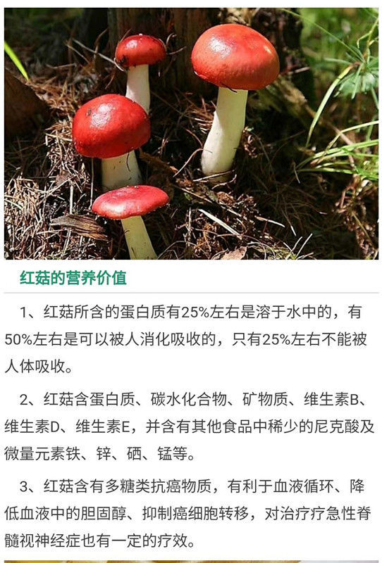8-3.5)【图片 价格 品牌 报价】-京东