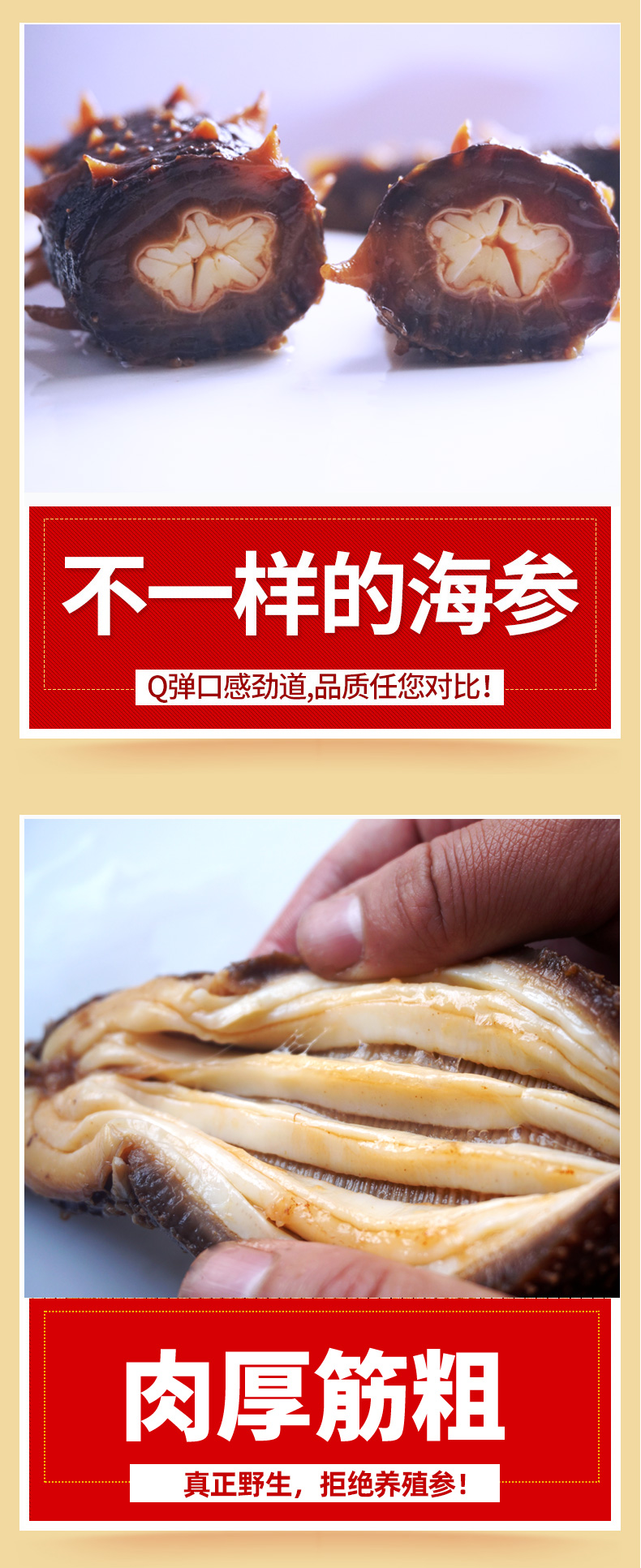 purecoast美国红参阿拉斯加红刺参加拿大进口即食海参500克48只1斤