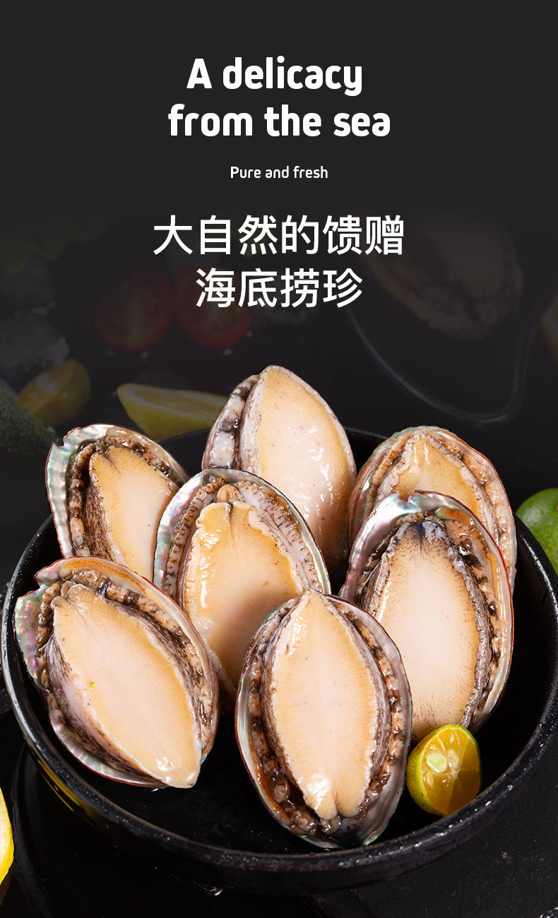 顺丰速运鲜活冻品鲍鱼新鲜冷冻海捕佛跳墙材料批发海鲜蜜鲜湾小号2斤