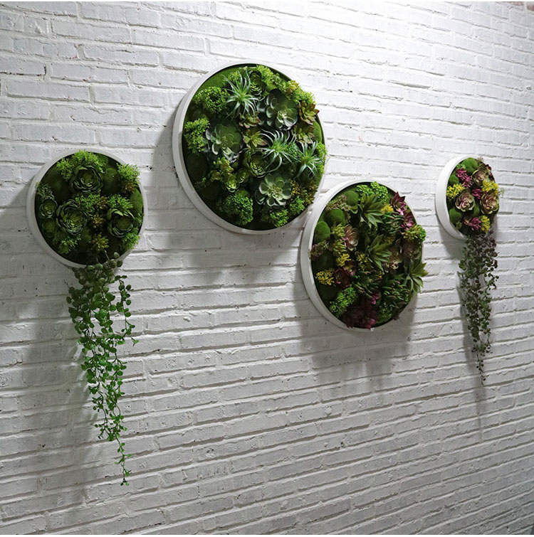 圆形仿真绿植框壁挂花客厅墙壁挂墙植物 创意餐厅墙面墙体装饰植西翼