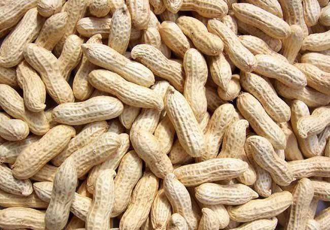 带壳批发花生零食龙岩花生蒜味花生水煮白晒五香盐水咸干花生炒熟5斤5