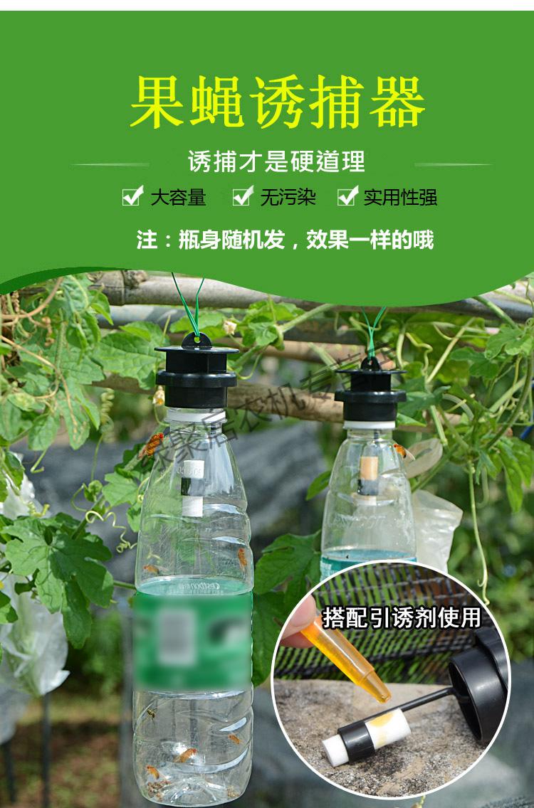 江影清果蝇器果实蝇捕抓捉容器瓜果蔬菜花卉防虫诱虫性诱剂药水针蜂