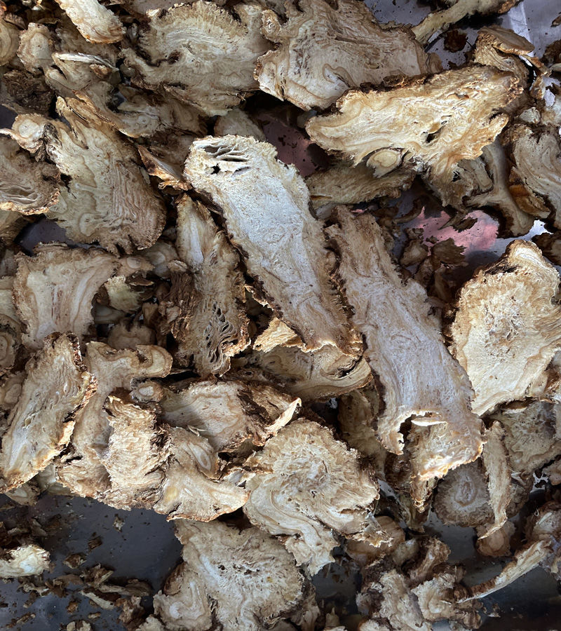 云南石头当归当归特老当归头石当归500克整个新货介意慎拍250克半斤