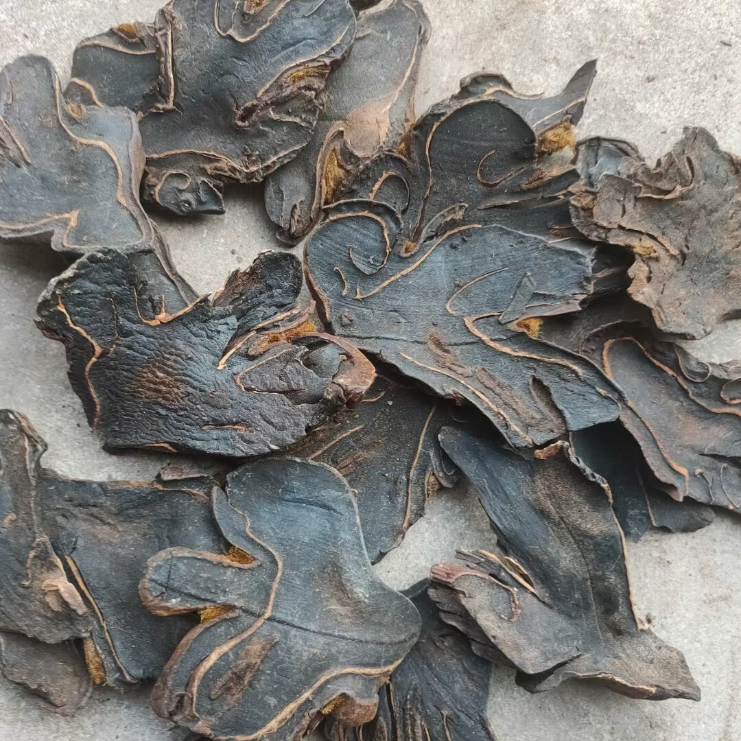 伊梵麦优选中药材炙狗脊烫金毛大贯众百杖500克图片色