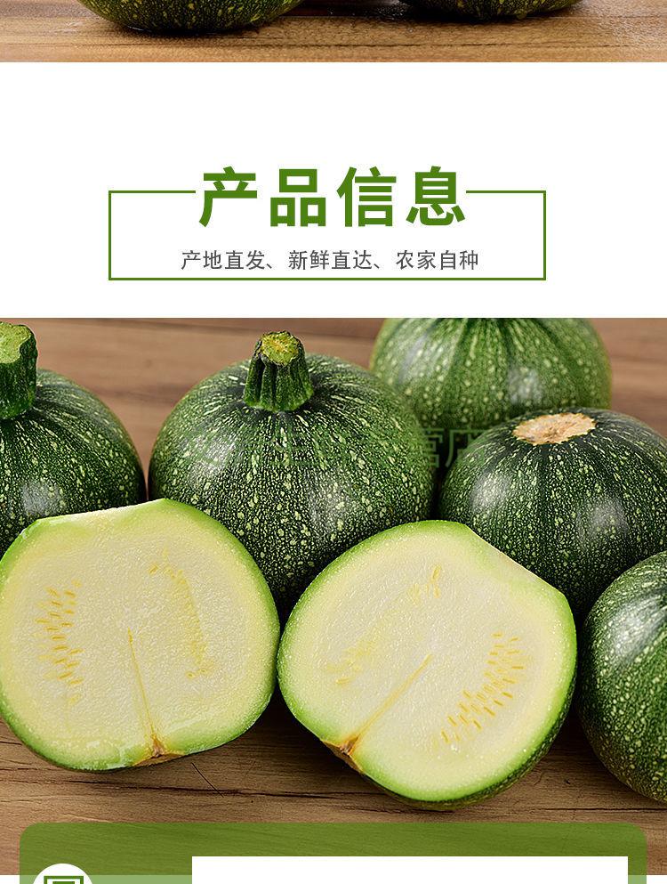 圆西葫芦新鲜蔬菜圆小瓜当季蔬菜三月瓜农家自种现摘现发西葫芦瓜3斤