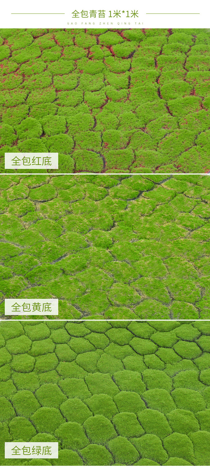 精选现发仿真苔藓青苔diy人造苔藓草坪草皮假苔藓绿植装饰造景盆景