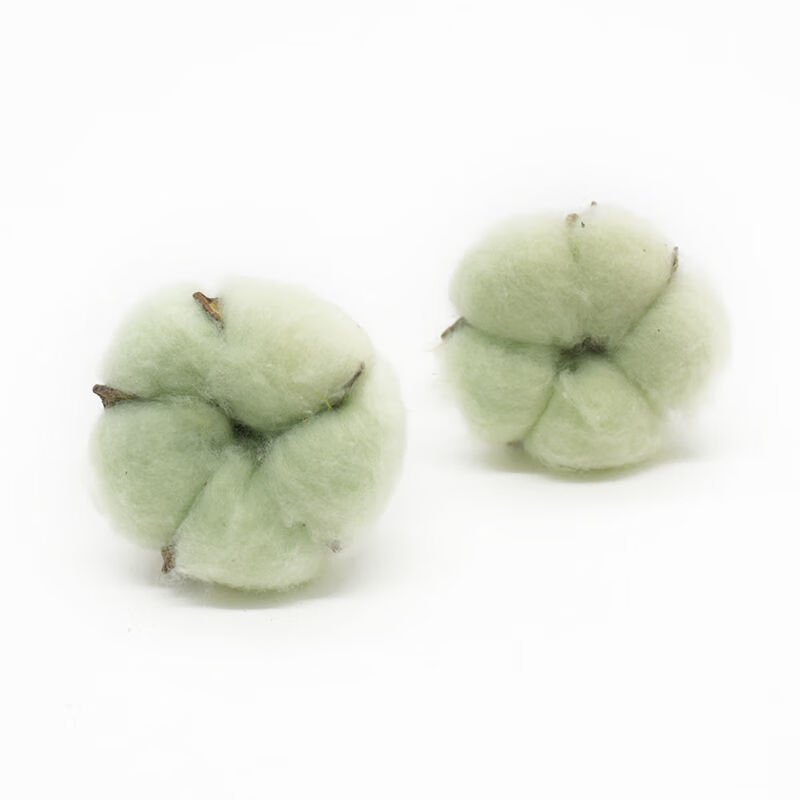 棉花天然干花仿真花家居装饰婚庆手捧花墙植物墙假花 桃红 5个