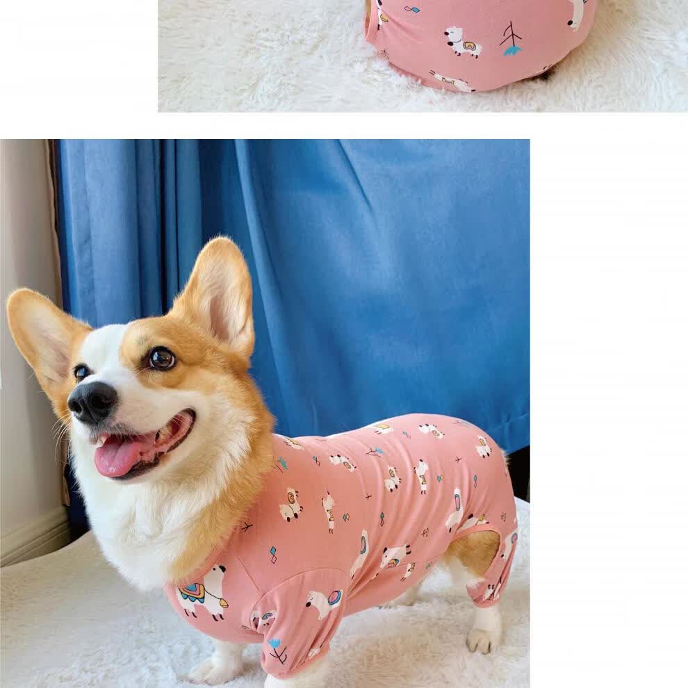 狗狗四脚衣可爱秋冬柯基衣服纯棉宠物服饰保暖防凉睡衣防掉毛红色小