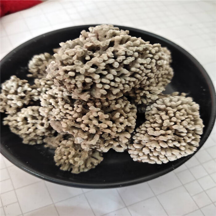 海浮石花中药材500克海浮石大花 水泡石 海石花 浮水石【图片 价格