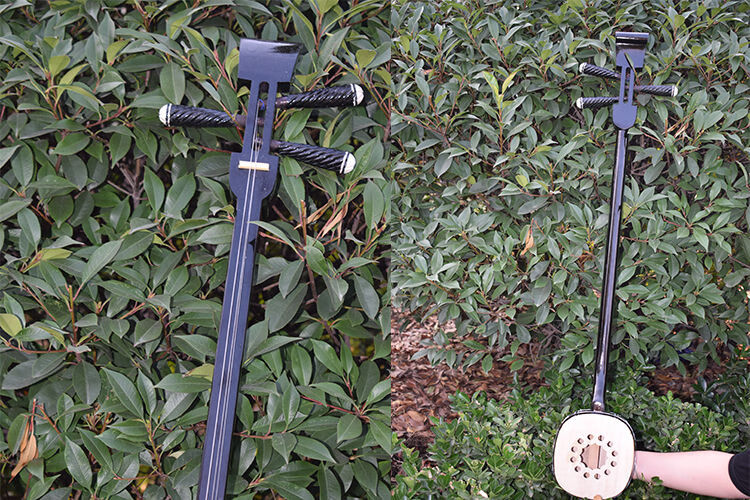 河南坠子 乐器坠胡木板大小三弦坠琴精品琴盒琴弦坠子书坠胡乐器 机械