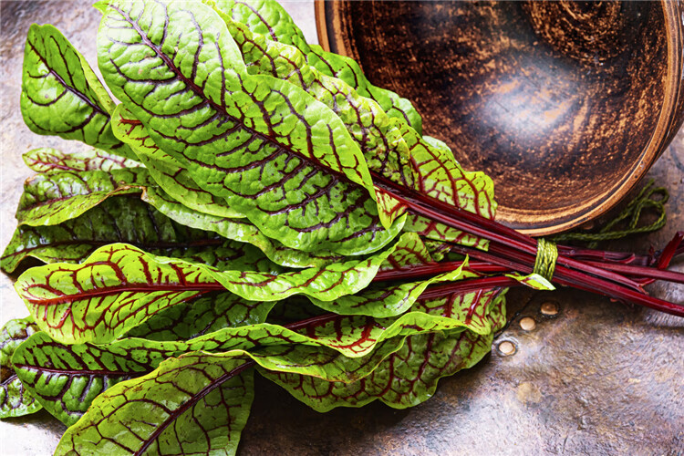 新鲜红脉酸模叶1盒40片 红酸模草酢浆草食用花酒店摆盘装饰酸膜叶