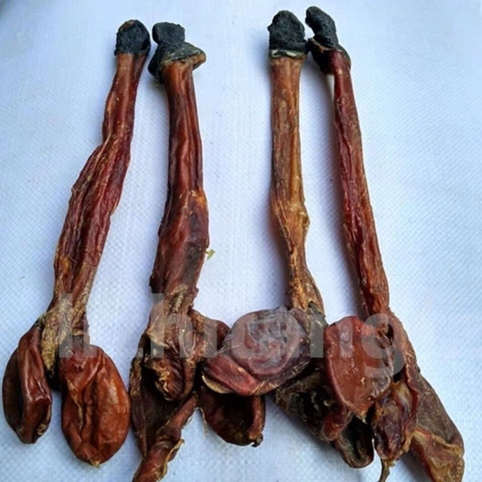 驴鞭大条淡干老驴鞭纯干泡酒材料中药材120克海狗鞭