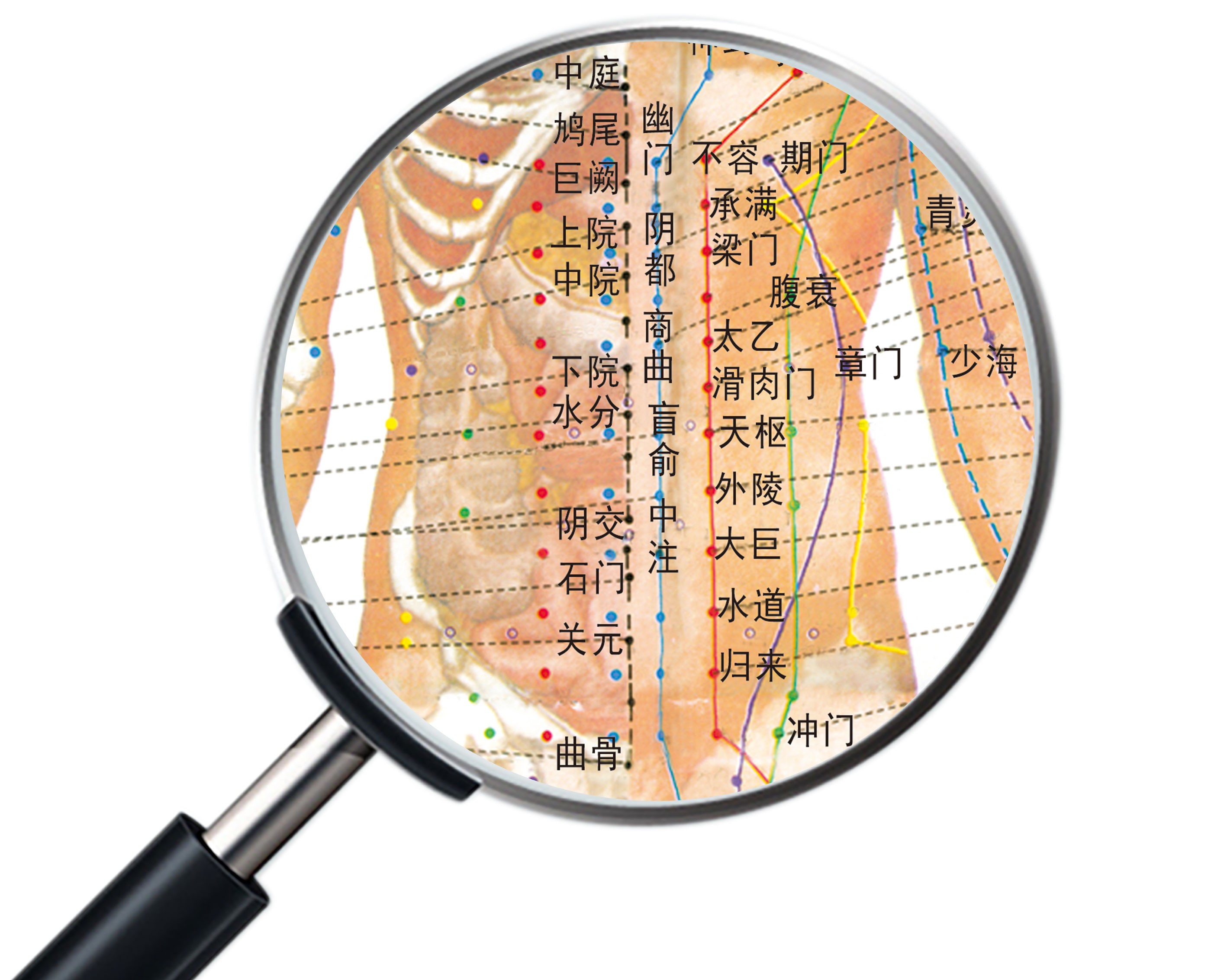 新品中医养生人体经络穴位图大挂图全身高清推拿按摩针灸海报001绿色