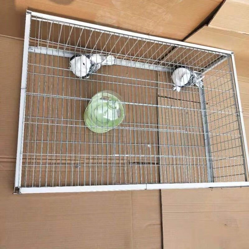 捕鸽子用具天落笼只进不出抓鸽捕鸽神器用品用具鸽笼鸽子套捕四面埋伏
