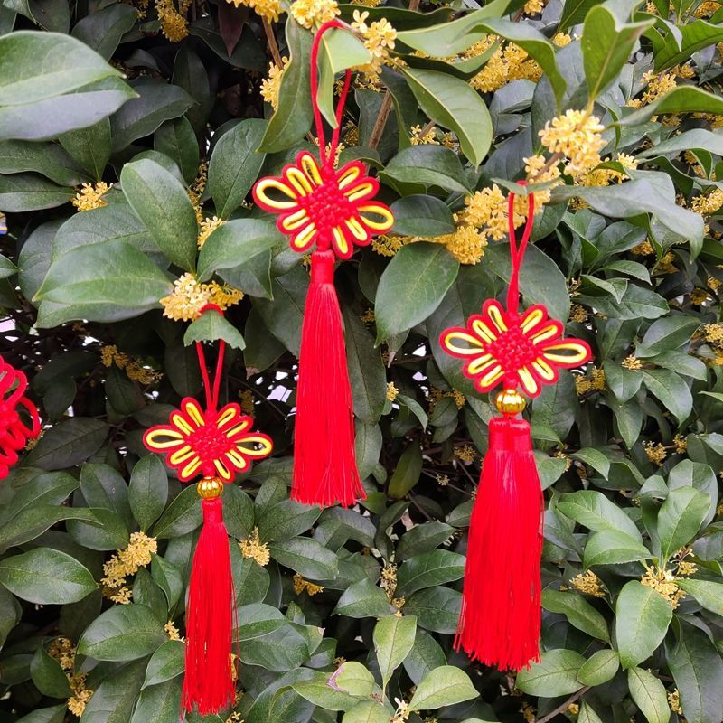 红色小中国结流苏穗子特色礼品diy手工制作材5号线6/8盘灯笼挂件 10条