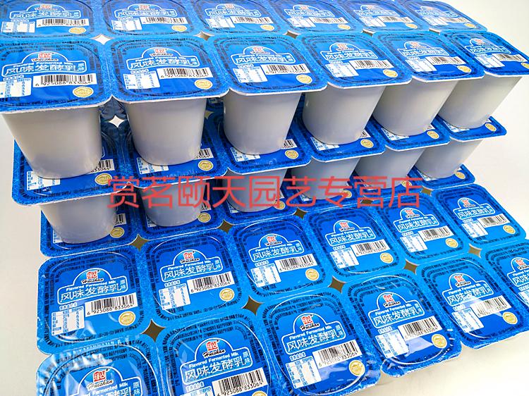 辉山风味发酵乳原味酸奶蓝杯100克八连杯自然生牛乳发酵100克x24杯加